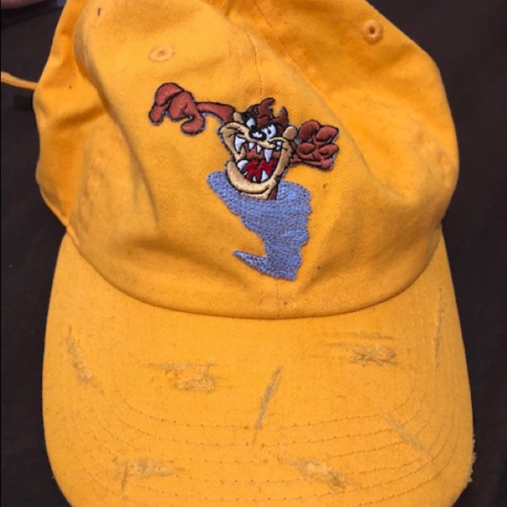 Distressed Looney tunes hat